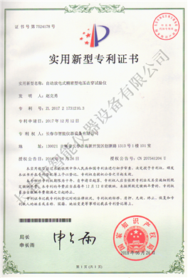 放电电击穿实用新型专利ZL 2017 2 1731210.3